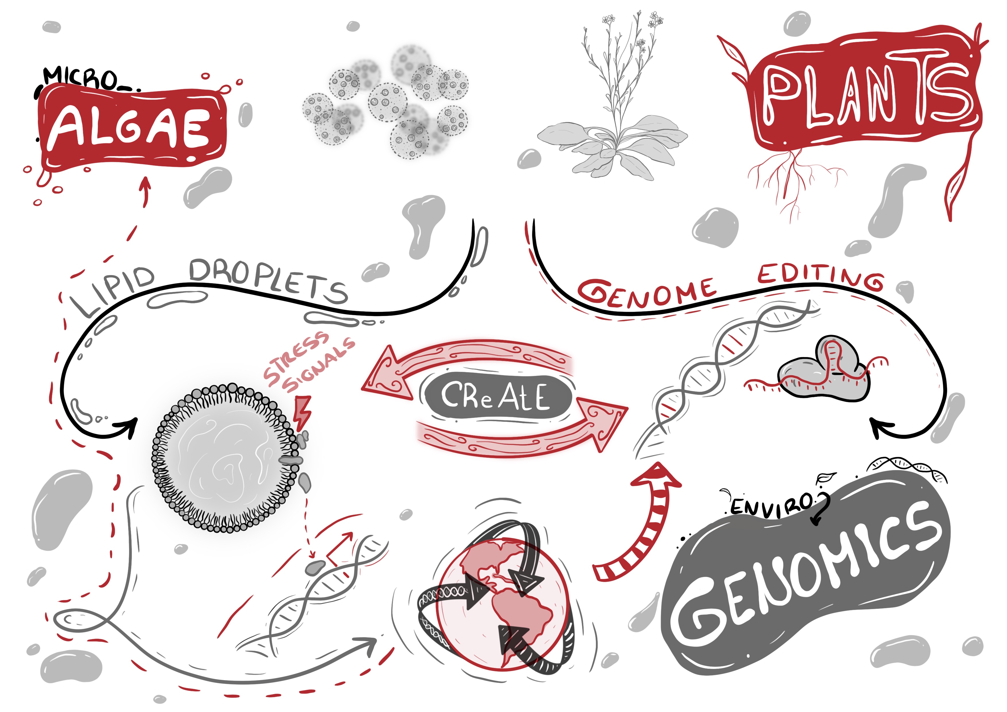 Center for Genome Engineering Logo