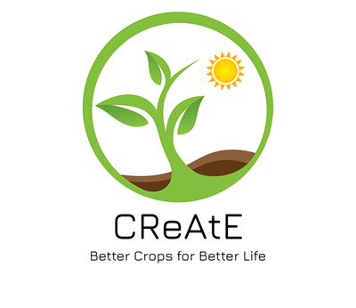 CReAtE Lab
