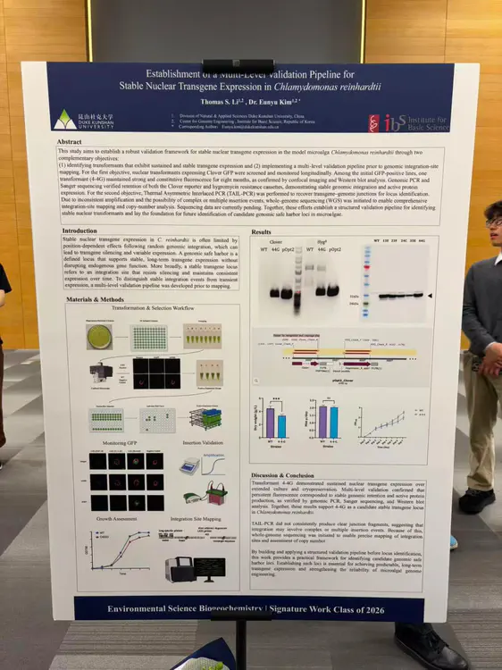 WhatsApp Image 2026-04-19 at 04.43.21.jpeg