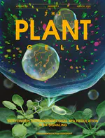 CReAtE Lab PI Professor Eunyu Kim's Article is Amongst the Most-Cited Recent Articles in The Plant Cell!