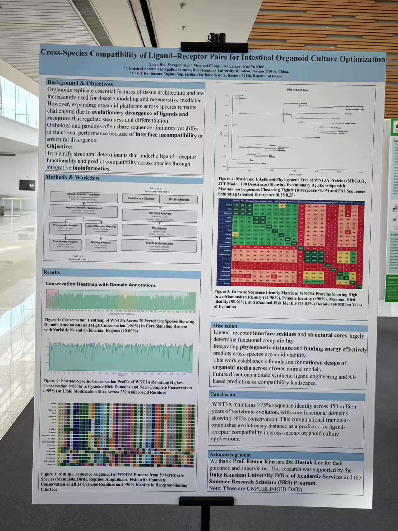 Xinyu Hu presenting her SRS poster